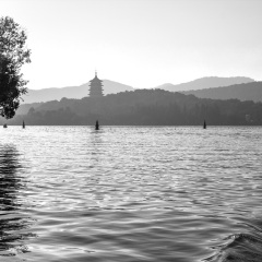 三潭印月