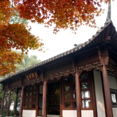 三潭印月