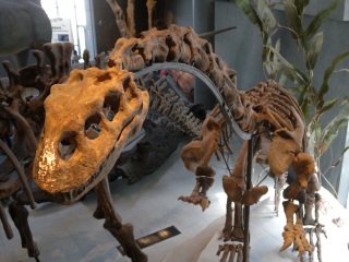 上海自然博物馆