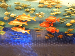 上海自然博物馆