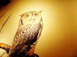 上海自然博物馆