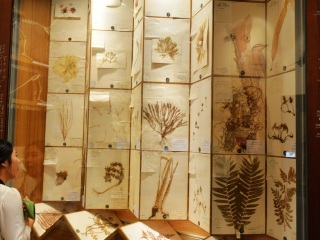 上海自然博物馆