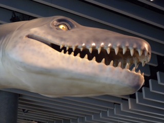 上海自然博物馆