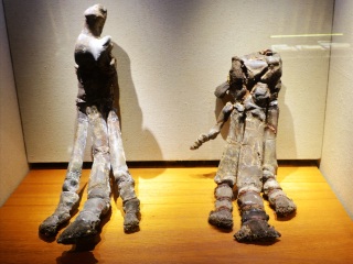 上海自然博物馆