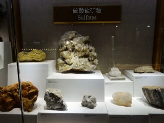 上海自然博物馆