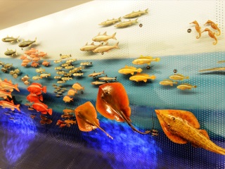 上海自然博物馆