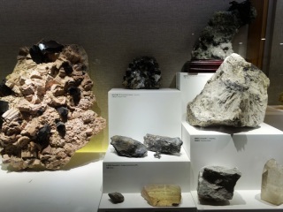 上海自然博物馆