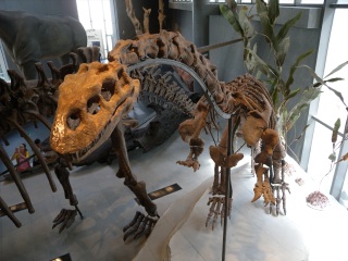 上海自然博物馆