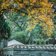 白崇禧旧居的#旅图换旅费#