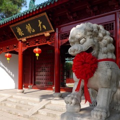 大观园