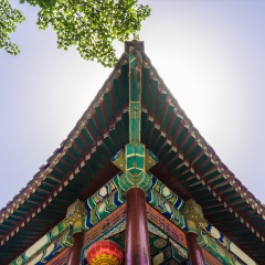 大观园