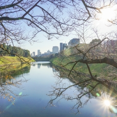 景点模块 