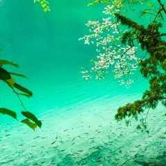 五花海