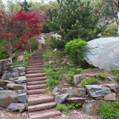崂山