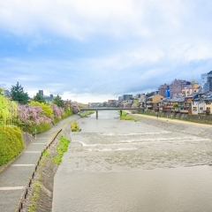 鸭川的#旅图换旅费#