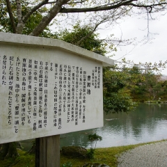 京都天龙寺的#旅图换旅费#