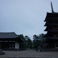 兴福寺的#旅图换旅费#