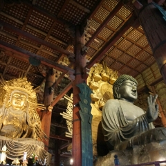 东大寺大佛殿的#旅图换旅费#