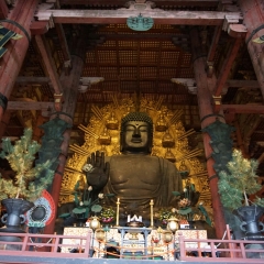 东大寺大佛殿的#旅图换旅费#