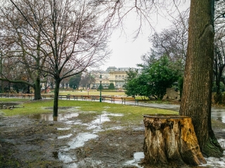 维也纳城市公园