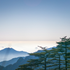 百步云梯的#旅图换旅费#
