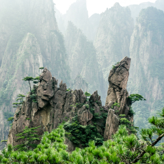 松鼠跳天都的#旅图换旅费#