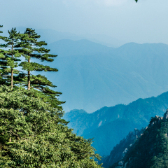 十八罗汉望南海的#旅图换旅费#
