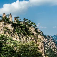 十八罗汉望南海的#旅图换旅费#