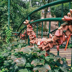 信号山的#旅图换旅费#