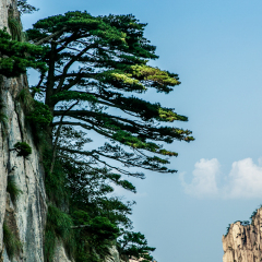 猴子观海的#旅图换旅费#