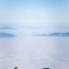 猴子观海的#旅图换旅费#
