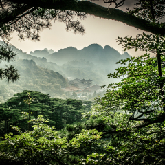 猴子观海的#旅图换旅费#