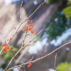 天都峰的#旅图换旅费#