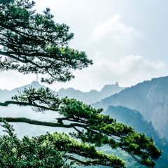 天都峰的#旅图换旅费#