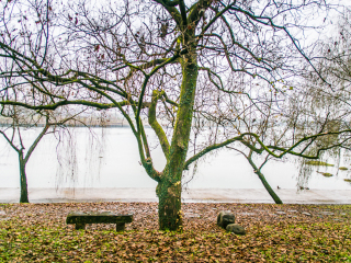 新安江山水画廊