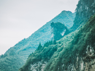 新安江山水画廊