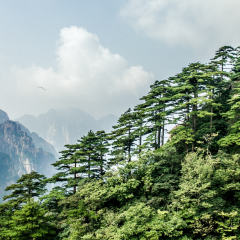 鳌鱼峰的#旅图换旅费#