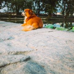 月沼的#旅图换旅费#