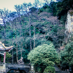 黄山温泉景区的#旅图换旅费#