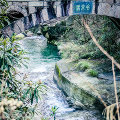 黄山温泉景区的#旅图换旅费#