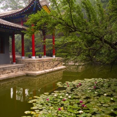 华清池