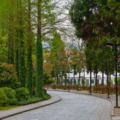 江西井冈山