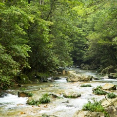 江西井冈山