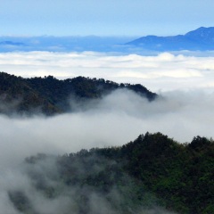 江西井冈山