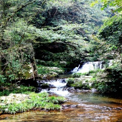 江西井冈山