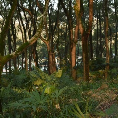 武汉大学