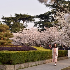 武汉大学