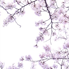 武汉大学