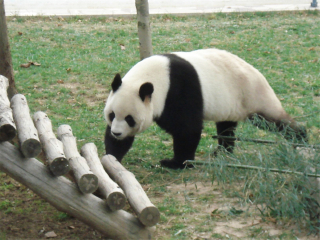 神雕山野生动物自然保护区