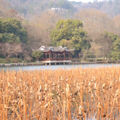 孤山的#旅图换旅费#